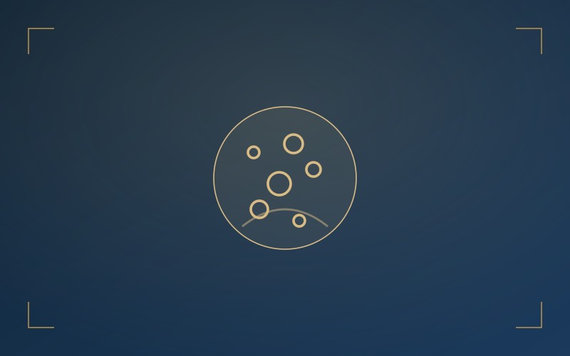 Nanobubble Technology & Biomimicry